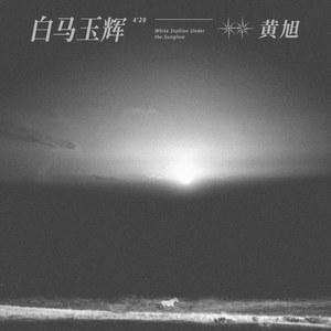 青青青在线视频免费观看视频
